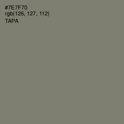 #7E7F70 - Tapa Color Image