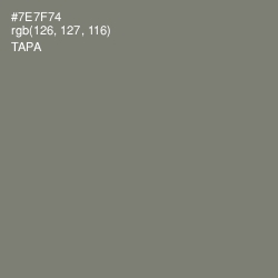 #7E7F74 - Tapa Color Image