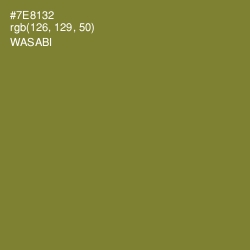 #7E8132 - Wasabi Color Image