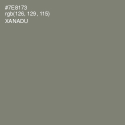 #7E8173 - Xanadu Color Image