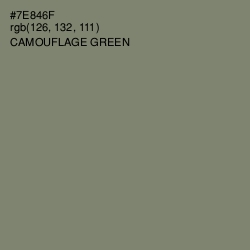 #7E846F - Camouflage Green Color Image