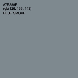 #7E888F - Blue Smoke Color Image