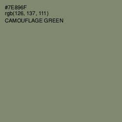 #7E896F - Camouflage Green Color Image