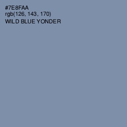 #7E8FAA - Wild Blue Yonder Color Image