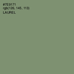 #7E9171 - Laurel Color Image