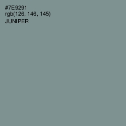 #7E9291 - Juniper Color Image