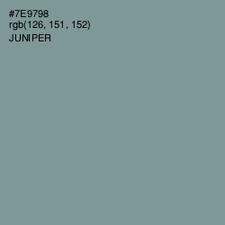#7E9798 - Juniper Color Image