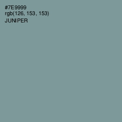 #7E9999 - Juniper Color Image
