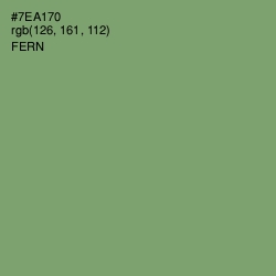 #7EA170 - Fern Color Image