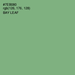 #7EB080 - Bay Leaf Color Image