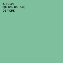 #7EC09E - De York Color Image
