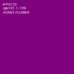 #7F017D - Honey Flower Color Image