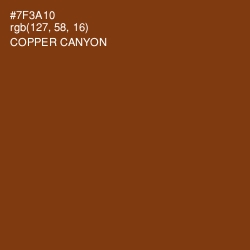 #7F3A10 - Copper Canyon Color Image