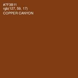 #7F3B11 - Copper Canyon Color Image