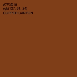 #7F3D18 - Copper Canyon Color Image