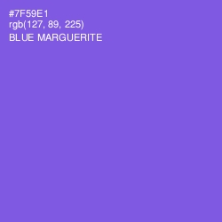 #7F59E1 - Blue Marguerite Color Image