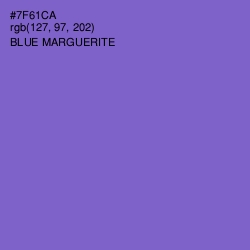 #7F61CA - Blue Marguerite Color Image