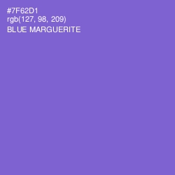 #7F62D1 - Blue Marguerite Color Image