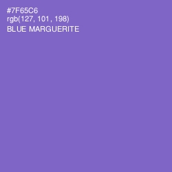 #7F65C6 - Blue Marguerite Color Image