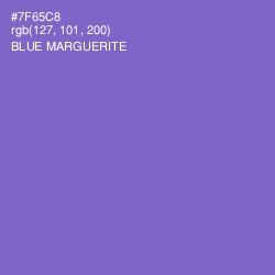 #7F65C8 - Blue Marguerite Color Image