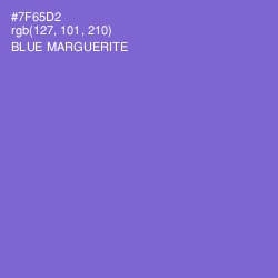 #7F65D2 - Blue Marguerite Color Image