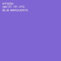 #7F65D4 - Blue Marguerite Color Image