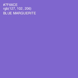 #7F66CE - Blue Marguerite Color Image