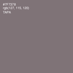 #7F7378 - Tapa Color Image