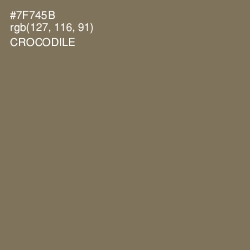 #7F745B - Crocodile Color Image