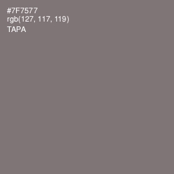 #7F7577 - Tapa Color Image