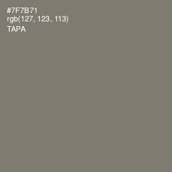 #7F7B71 - Tapa Color Image
