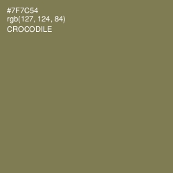 #7F7C54 - Crocodile Color Image