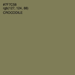 #7F7C58 - Crocodile Color Image