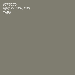 #7F7C70 - Tapa Color Image