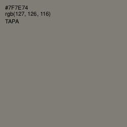 #7F7E74 - Tapa Color Image