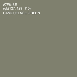 #7F816E - Camouflage Green Color Image