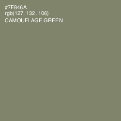 #7F846A - Camouflage Green Color Image