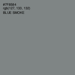 #7F8584 - Blue Smoke Color Image