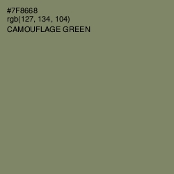 #7F8668 - Camouflage Green Color Image