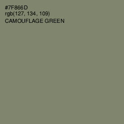 #7F866D - Camouflage Green Color Image