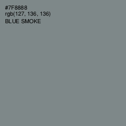 #7F8888 - Blue Smoke Color Image