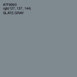 #7F8990 - Slate Gray Color Image