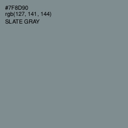 #7F8D90 - Slate Gray Color Image