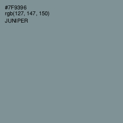 #7F9396 - Juniper Color Image