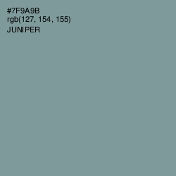 #7F9A9B - Juniper Color Image