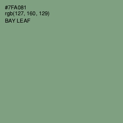 #7FA081 - Bay Leaf Color Image