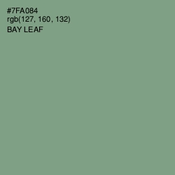 #7FA084 - Bay Leaf Color Image