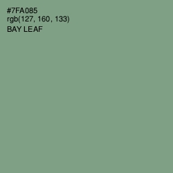 #7FA085 - Bay Leaf Color Image