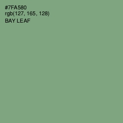 #7FA580 - Bay Leaf Color Image