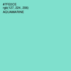 #7FE0CE - Aquamarine Color Image